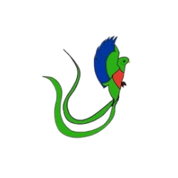 Logotipo-qoatl